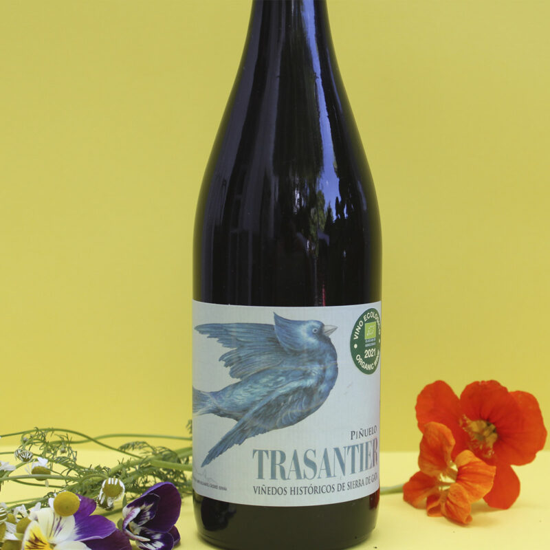 vino-trasantier-pinuelo